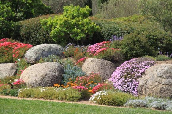 massif de jardin