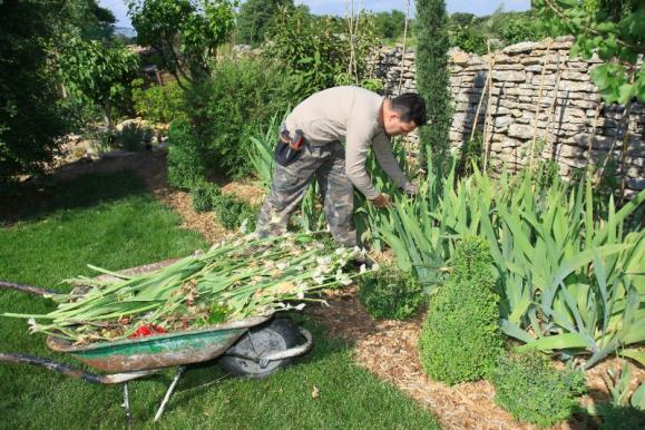 jardinier entretien massifs